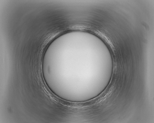 X0000116490529200912090949