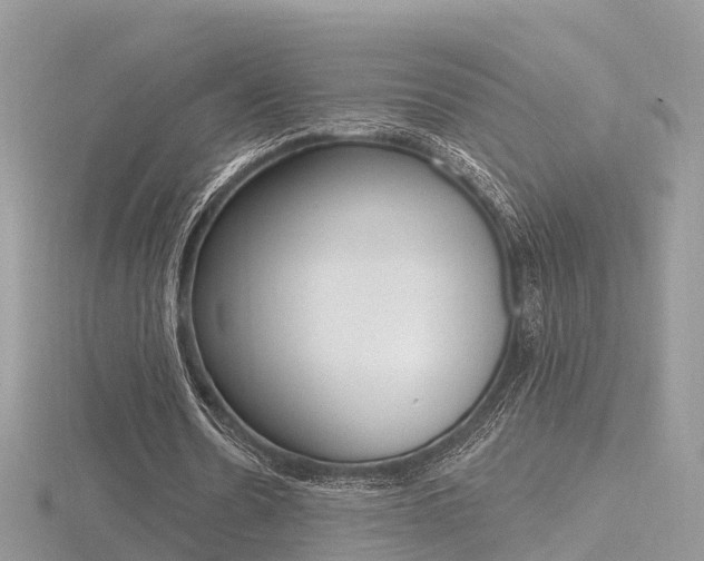 X0000116490530200912090949