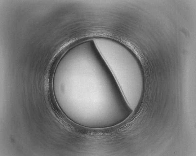 X0000116490531200912090949