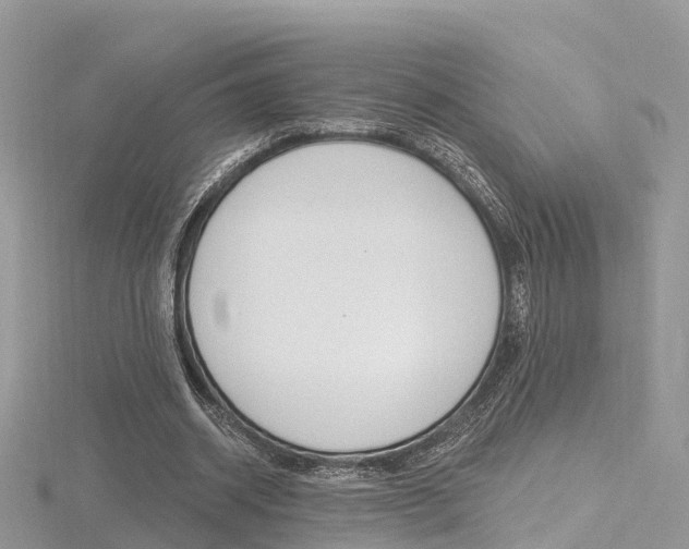 X0000116490534200912090949
