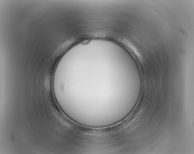 X0000116490537200912090949