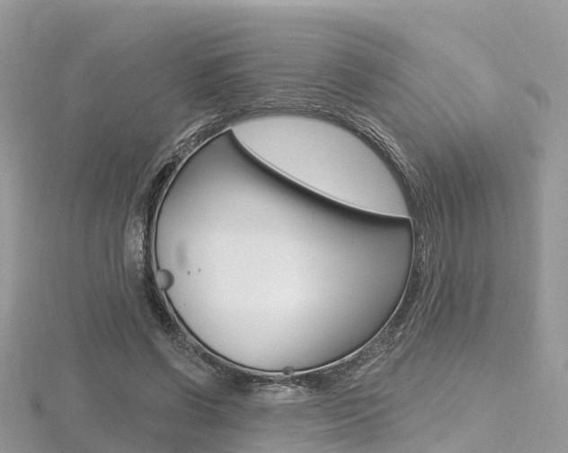 X0000116490542200912090949
