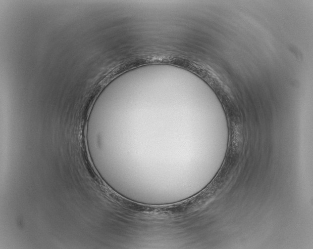 X0000116490545200912090950