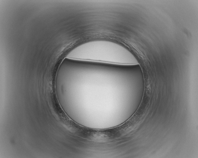 X0000116490547200912090950