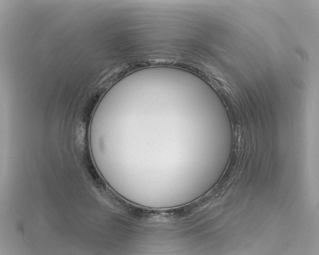 X0000116490550200912090950