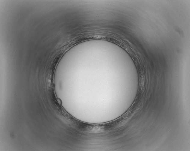 X0000116490553200912090950