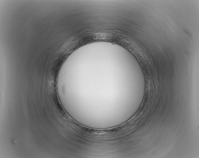 X0000116490557200912090950
