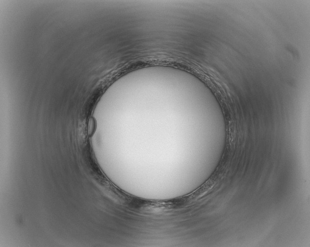 X0000116490563200912090950