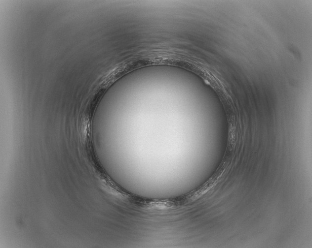 X0000116490574200912090950