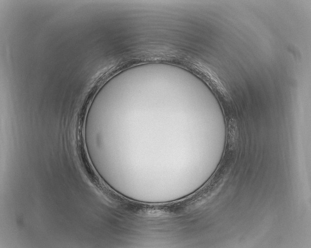 X0000116490590200912090949