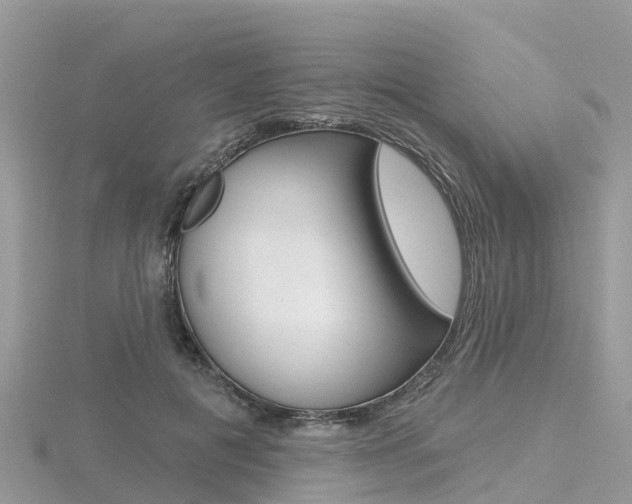 X0000116490601200912090949