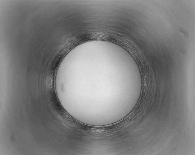 X0000116490602200912090949