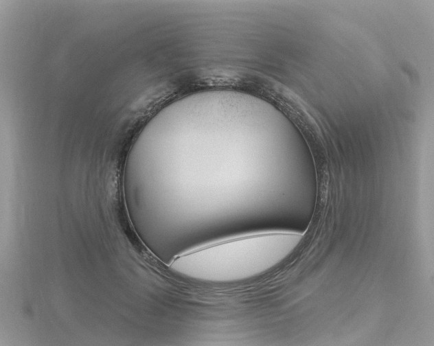 X0000116490604200912090949
