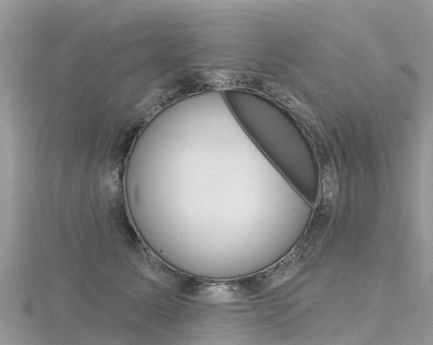 X0000116490611200912090949