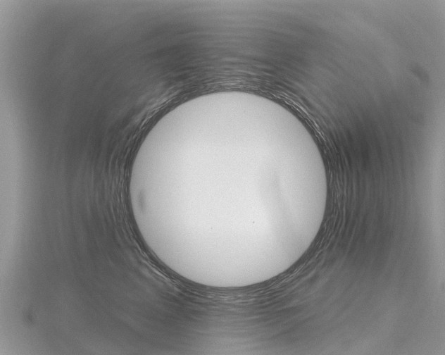 X0000116490617200912090949