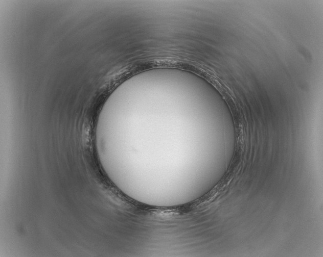 X0000116490619200912090949