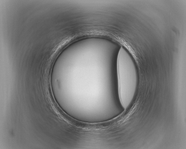 X0000116490625200912090948