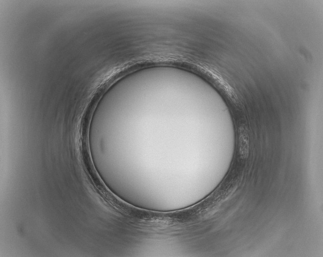 X0000116490631200912090948