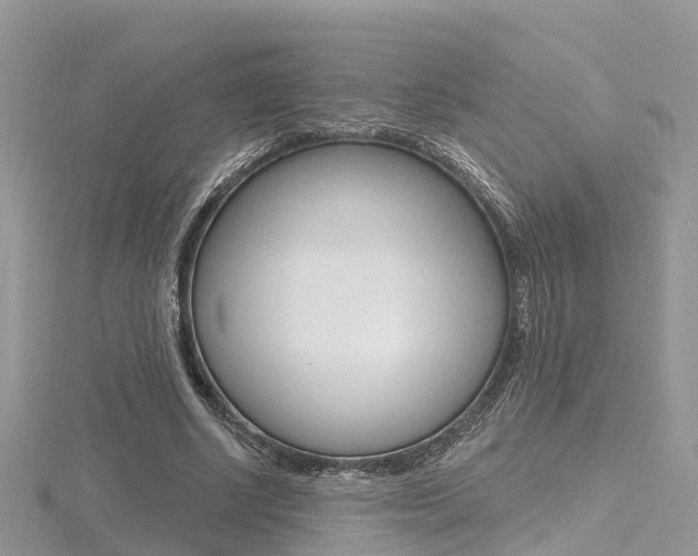 X0000116490634200912090948