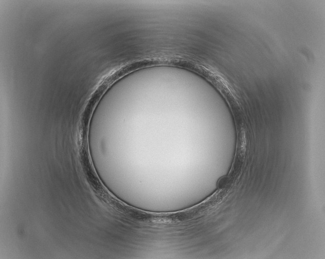 X0000116490636200912090948