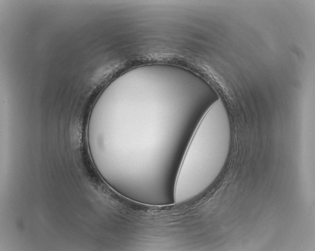 X0000116490640200912090948