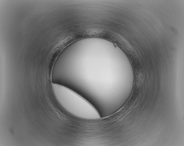 X0000116490644200912090948