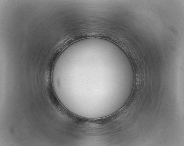 X0000116490648200912090948
