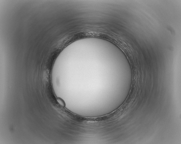 X0000116490649200912090948