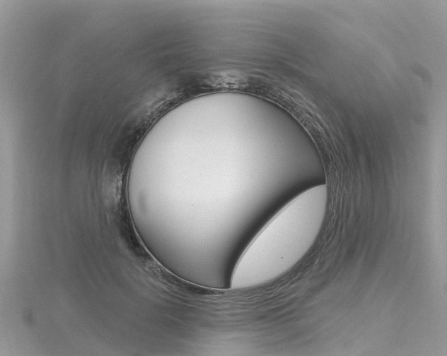 X0000116490652200912090948