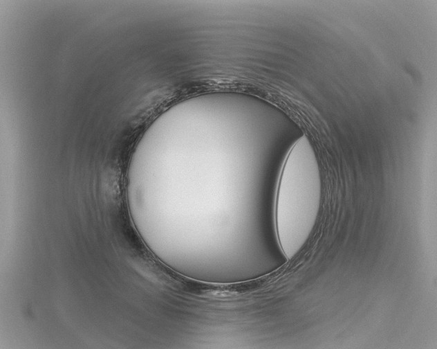X0000116490654200912090948