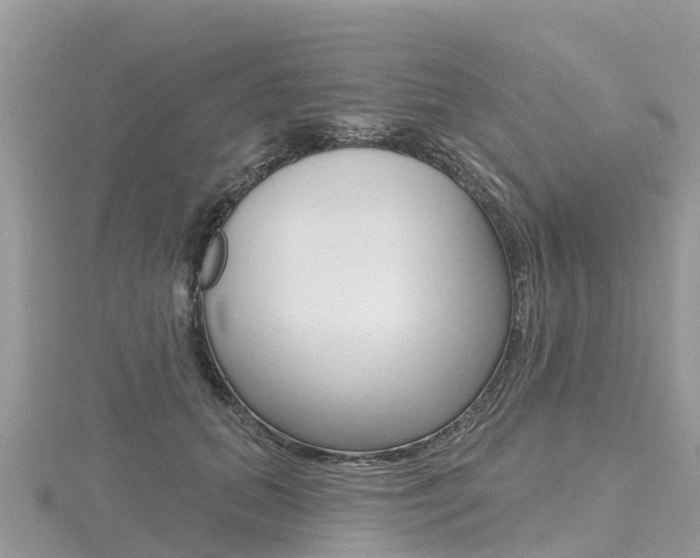 X0000116490655200912090948