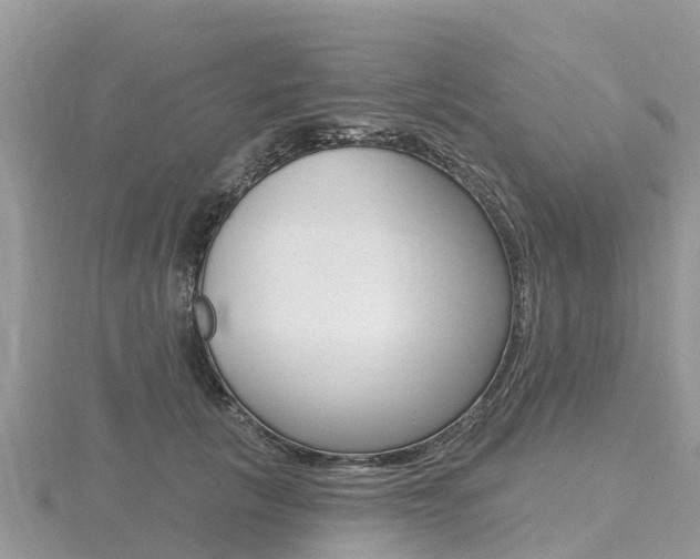 X0000116490657200912090949