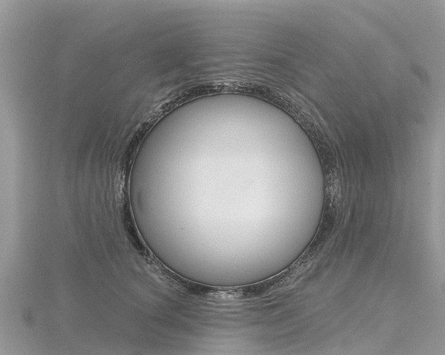X0000116490660200912090949