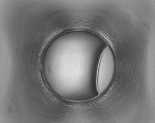 X0000116490673200912090948
