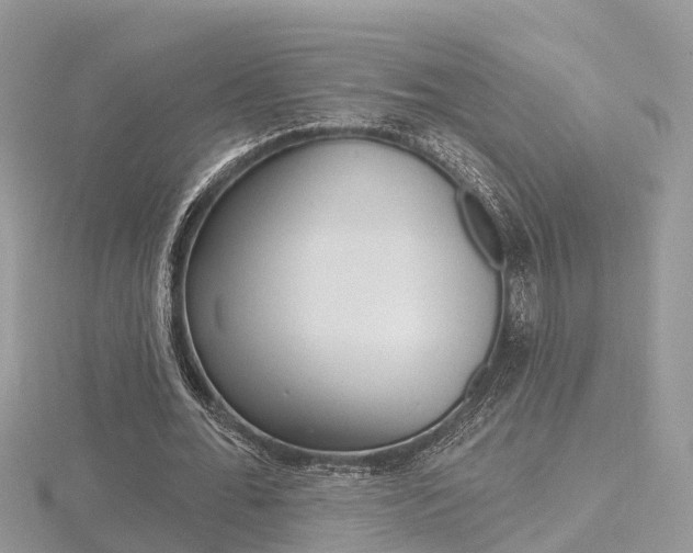 X0000116490676200912090948