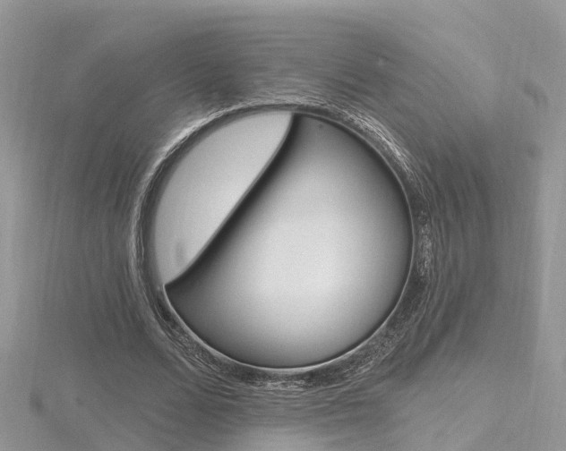 X0000116490680200912090948