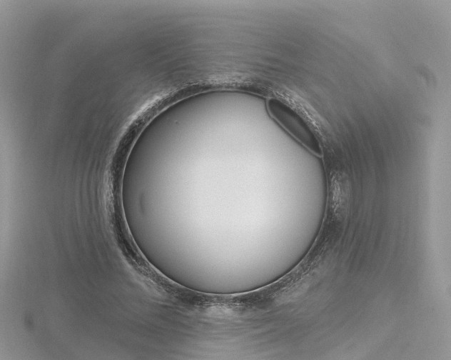 X0000116490684200912090948