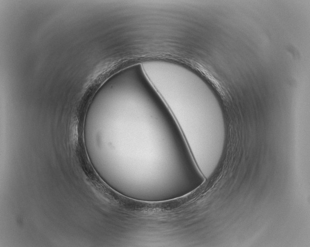 X0000116490685200912090948