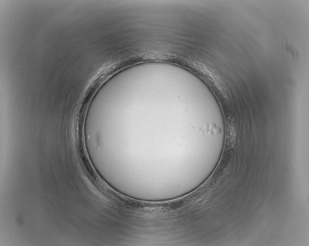 X0000116490686200912090948