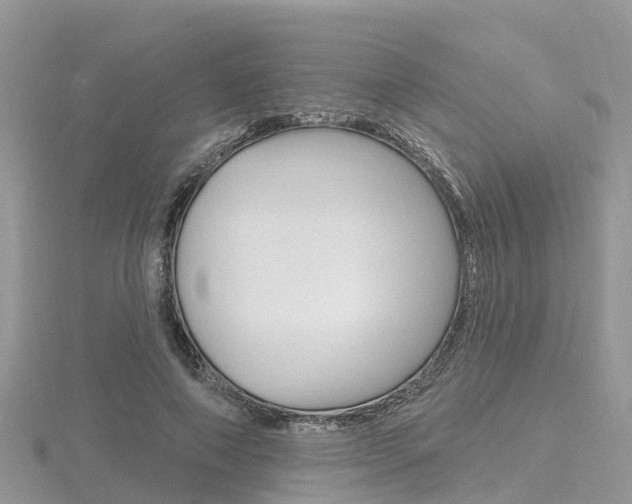 X0000116490690200912090948