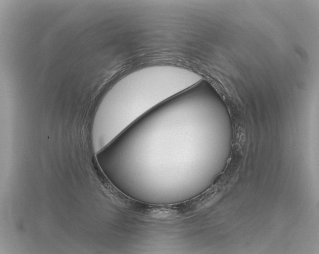 X0000116490708200912090948