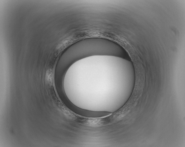 X0000116490720200912090947