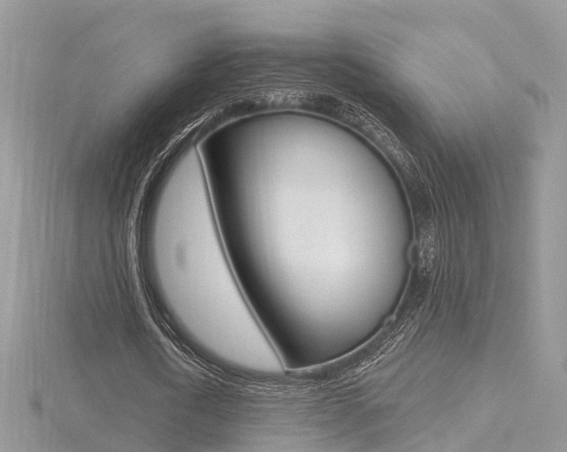 X0000116490722200912090947