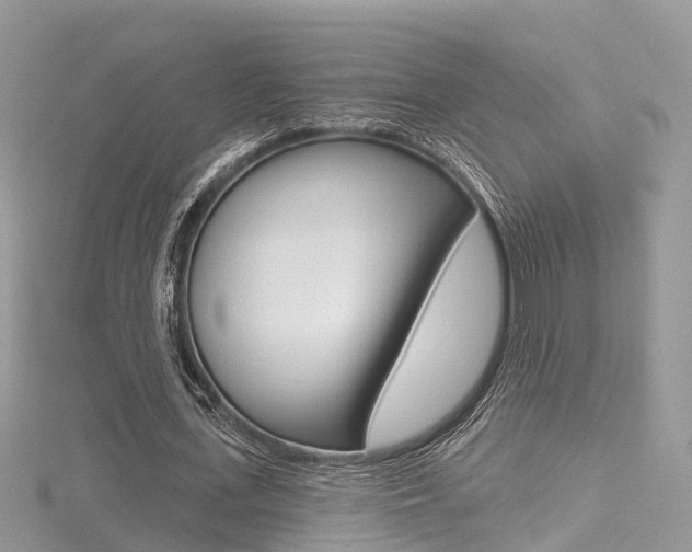 X0000116490723200912090947