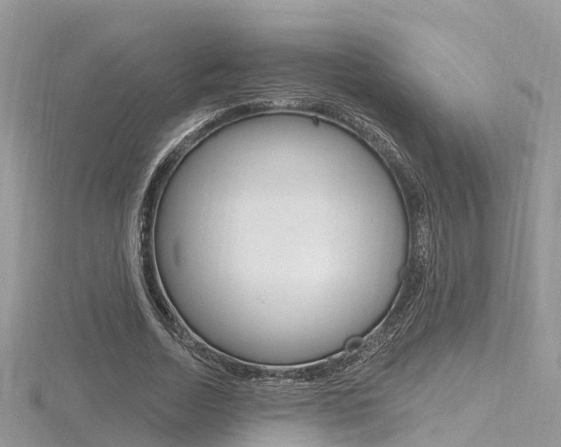 X0000116490730200912090947