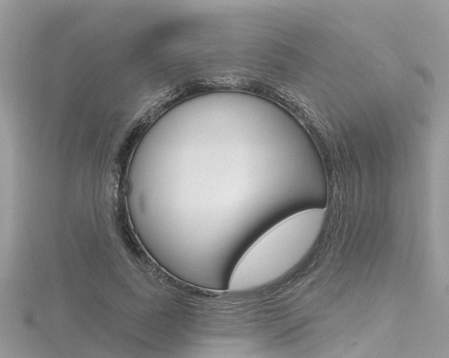 X0000116490739200912090947