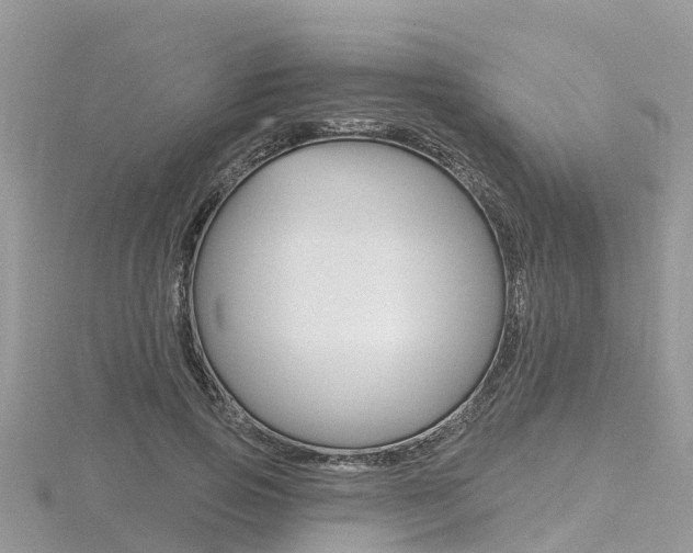 X0000116490741200912090947