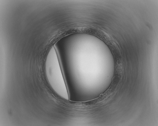 X0000116490750200912090947