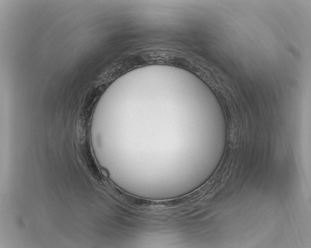 X0000116490751200912090947