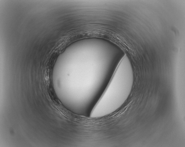 X0000116490771200912090947